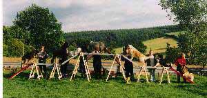Display Team