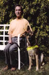 Working Guide Dog Wren